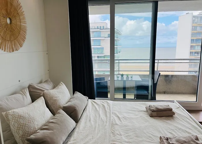 公寓 Zen Seaview 奥斯滕德