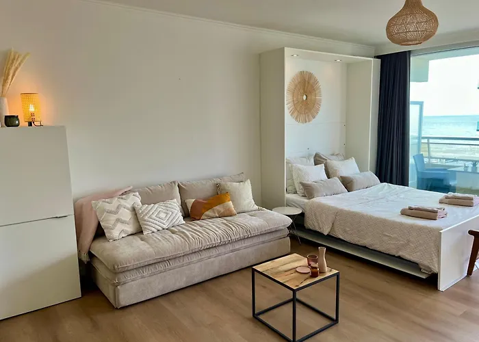 Zen Seaview 奥斯滕德